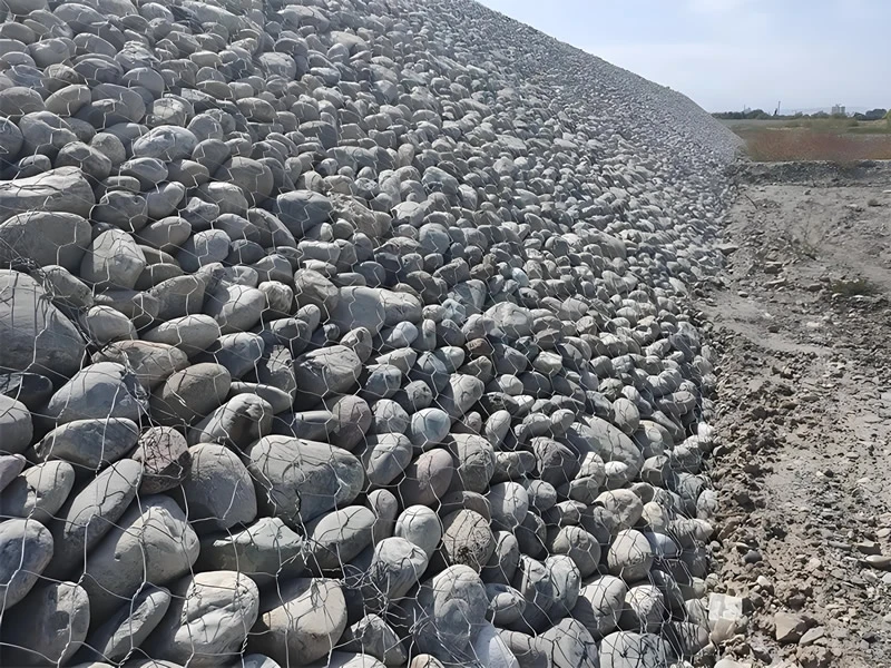 How to choose galvanized lead wire gabion mesh? Comprehensively analyze its classification and characteristics